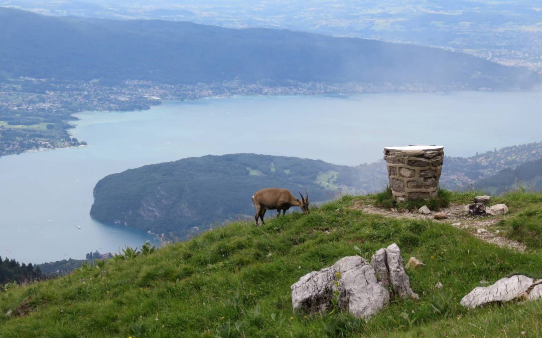 Rando 27 juillet 2017 – La Tournette