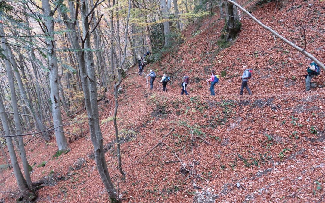 Rando 2 novembre 2017 – Mont Peney