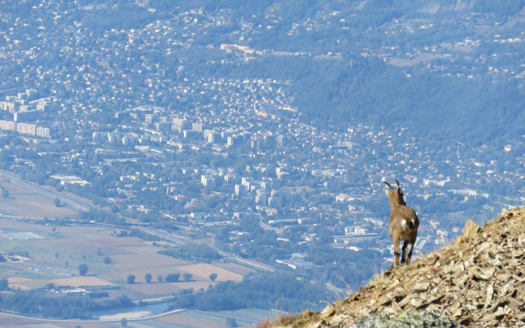Rando du 4 octobre 2018 – Lac du Crozet, Col du Loup