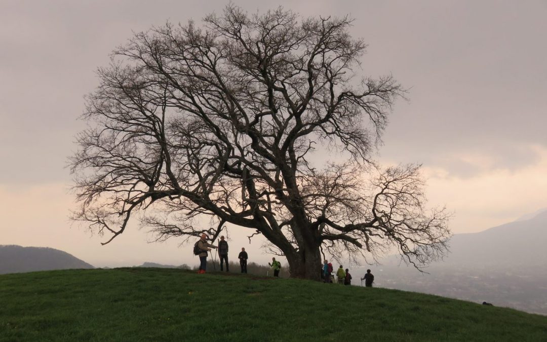 Rando du 11 Avril 2019 – Les Crêtes de Combeloup