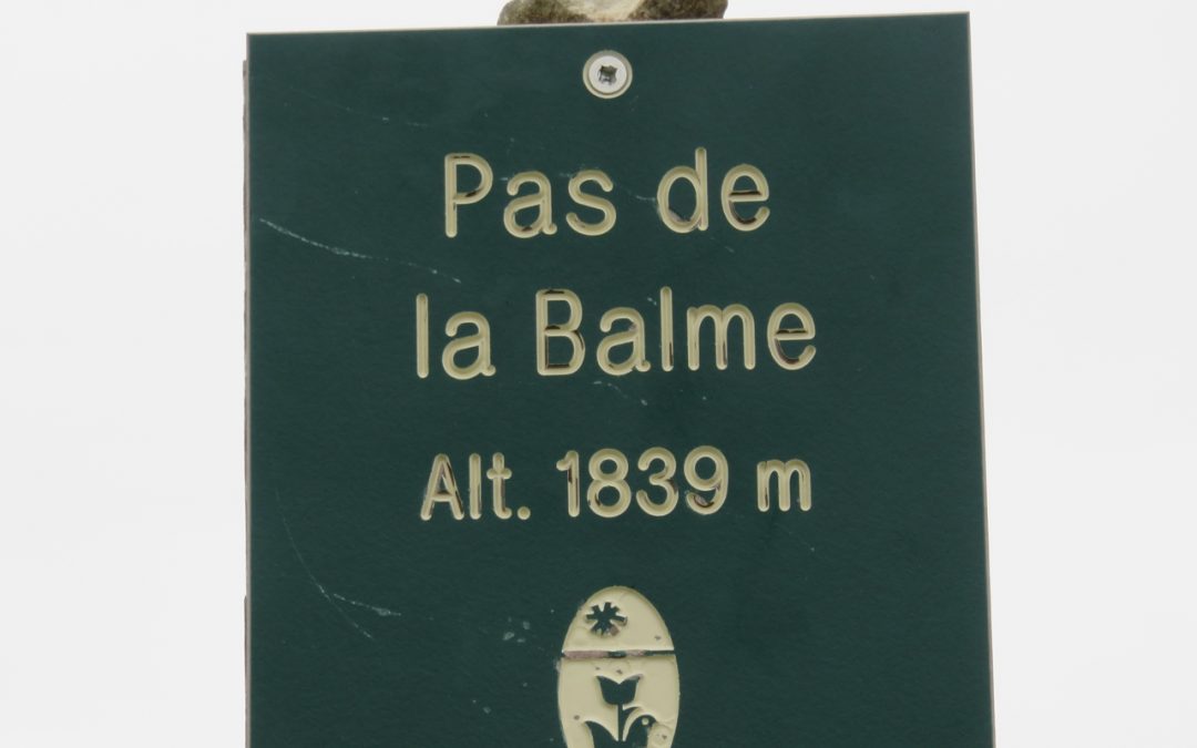 Rando du 11 juillet 2019 – Le pas de la Balme, la Tête des Chaudières