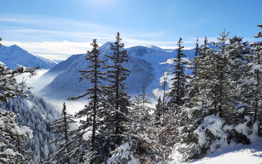 Raquettes du 7 janvier 2021 – Alpe du Grand Serre