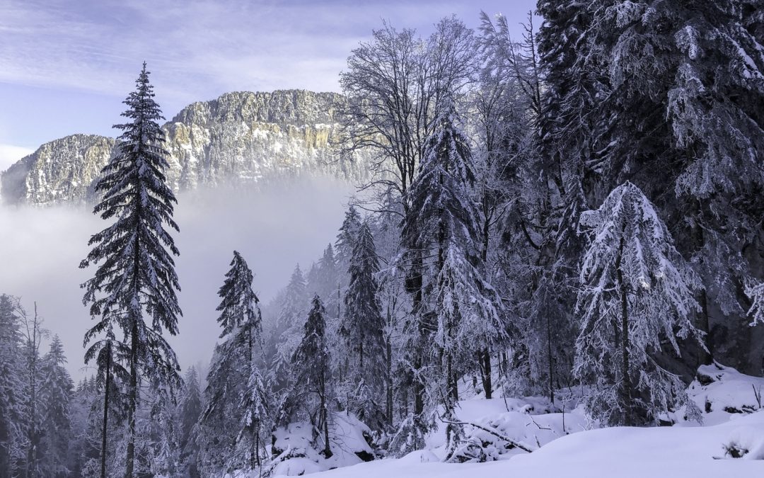 Raquettes du 11 février 2021 – La Ruchère