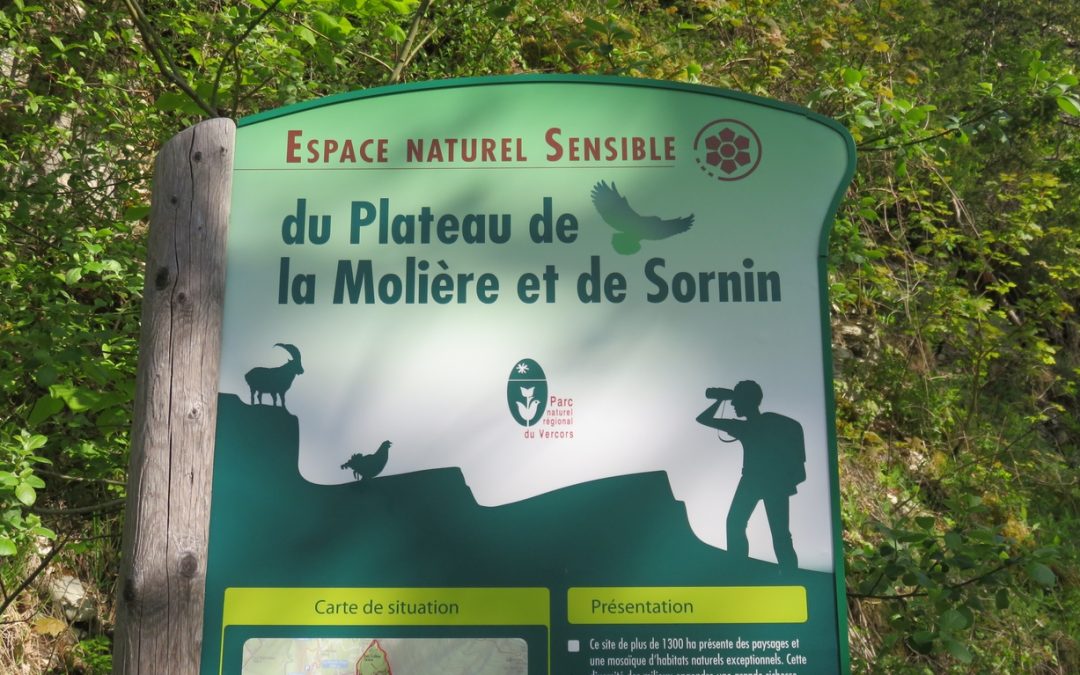 Rando du 27 mai 20231 – Plateau de Sornin, La Dent du Loup