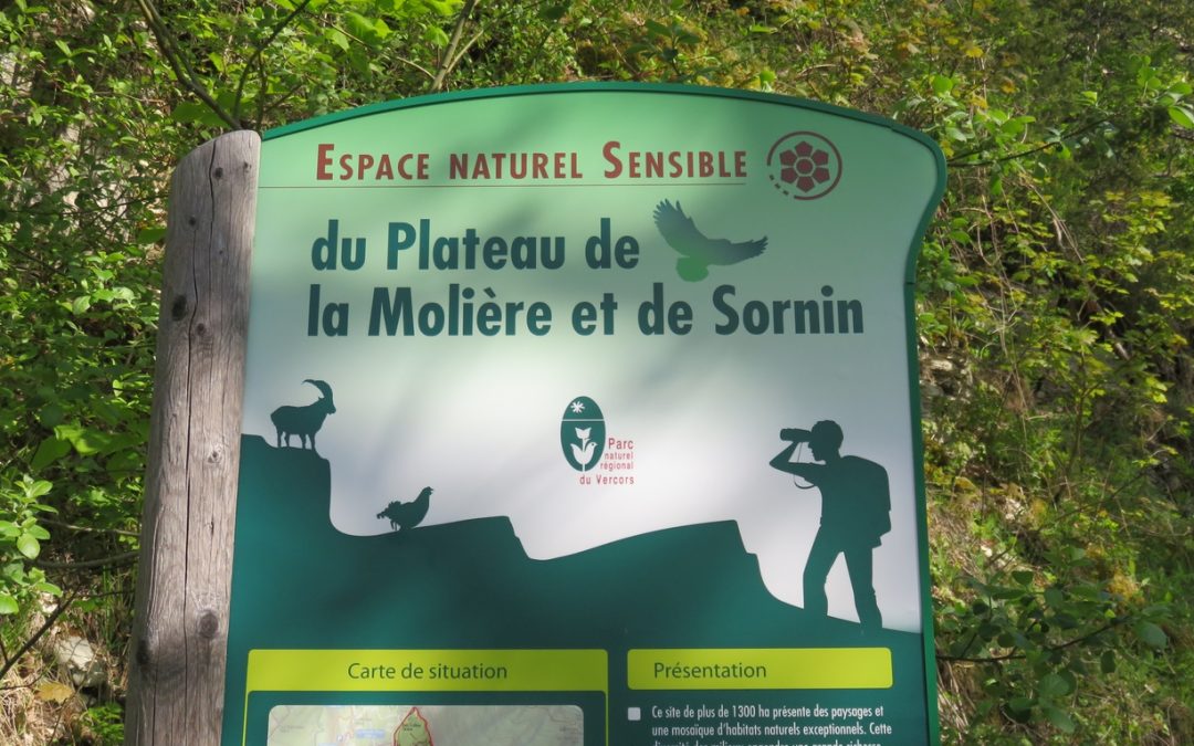 Rando du 27 mai 20231 – Plateau de Sornin, La Dent du Loup