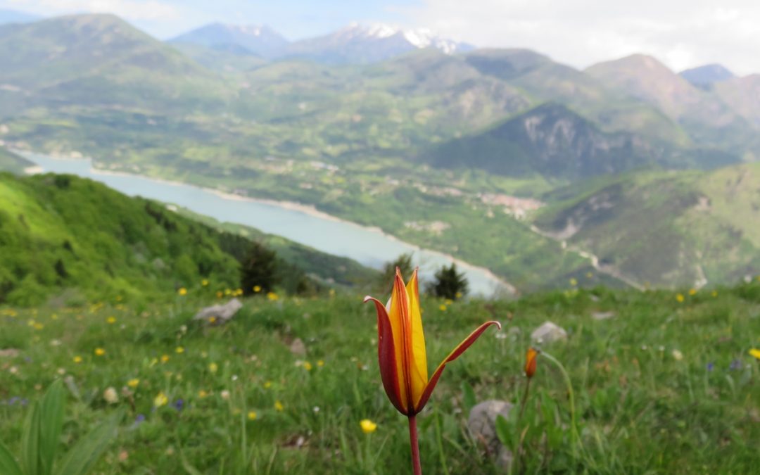 Rando du 3 juin 2021 – La Tête de la Sambut