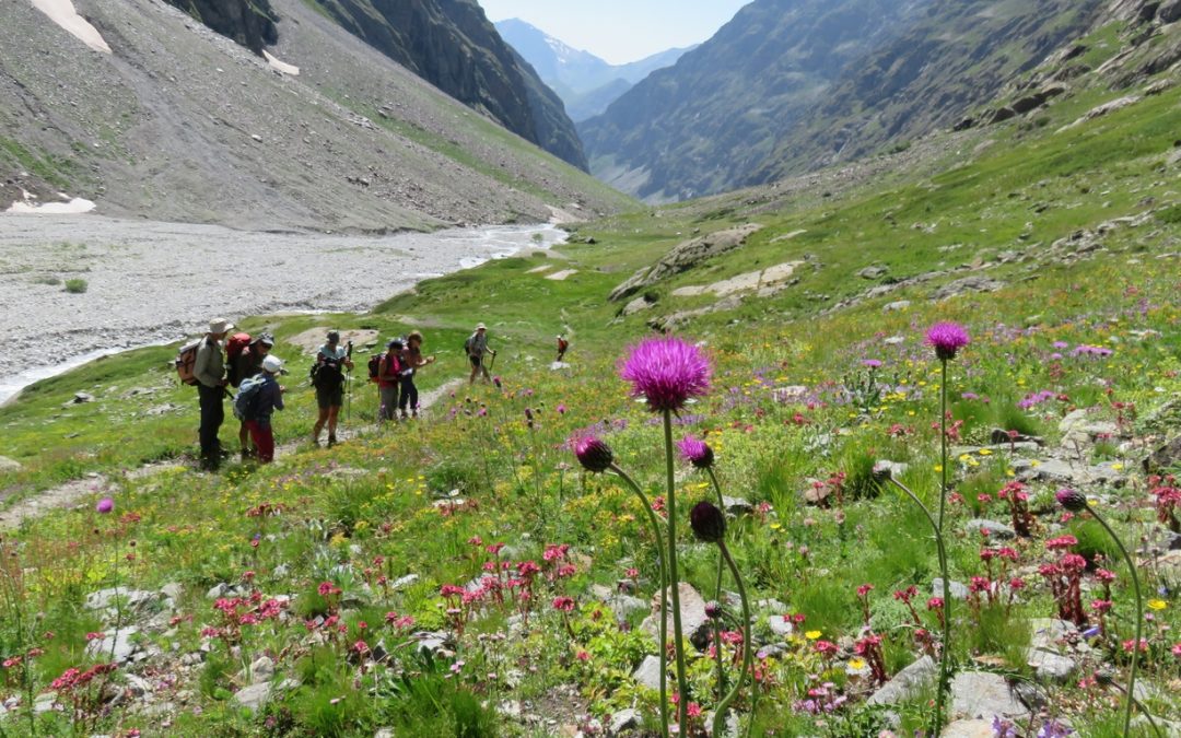 Rando du 22 juillet 2021 – Miroir des Fétoules – Vallon de la Selle