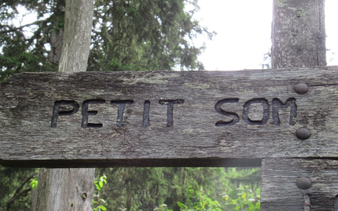 Rando du 30 juin 2022 – Petit et Grand SOM