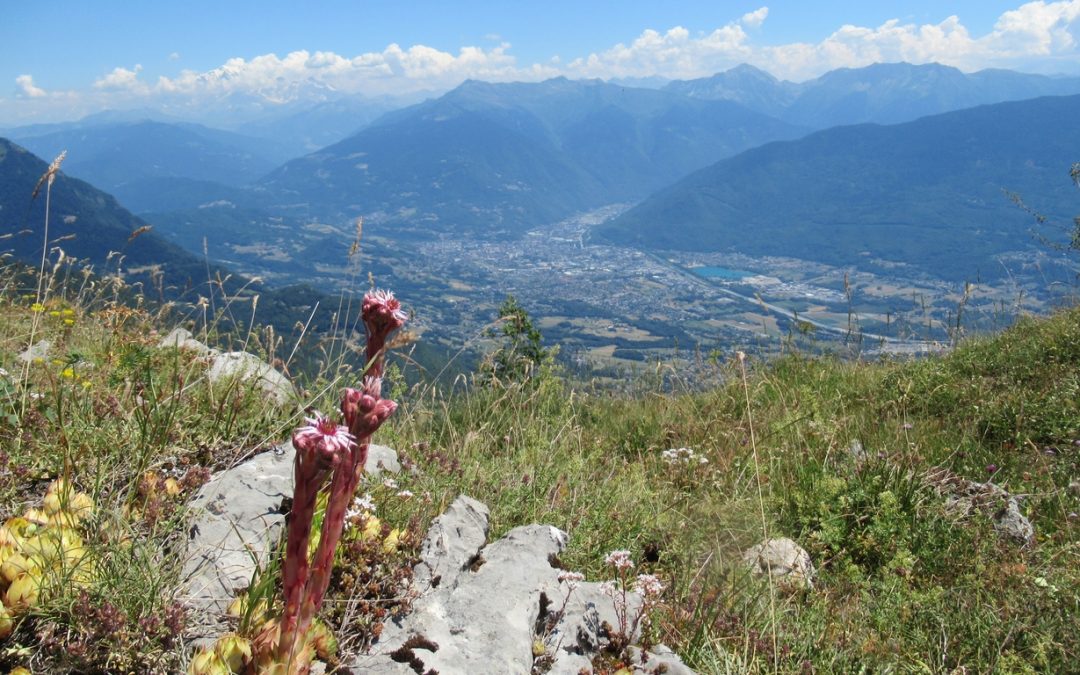 Rando du 14 juillet 2022 – Le Grand Roc