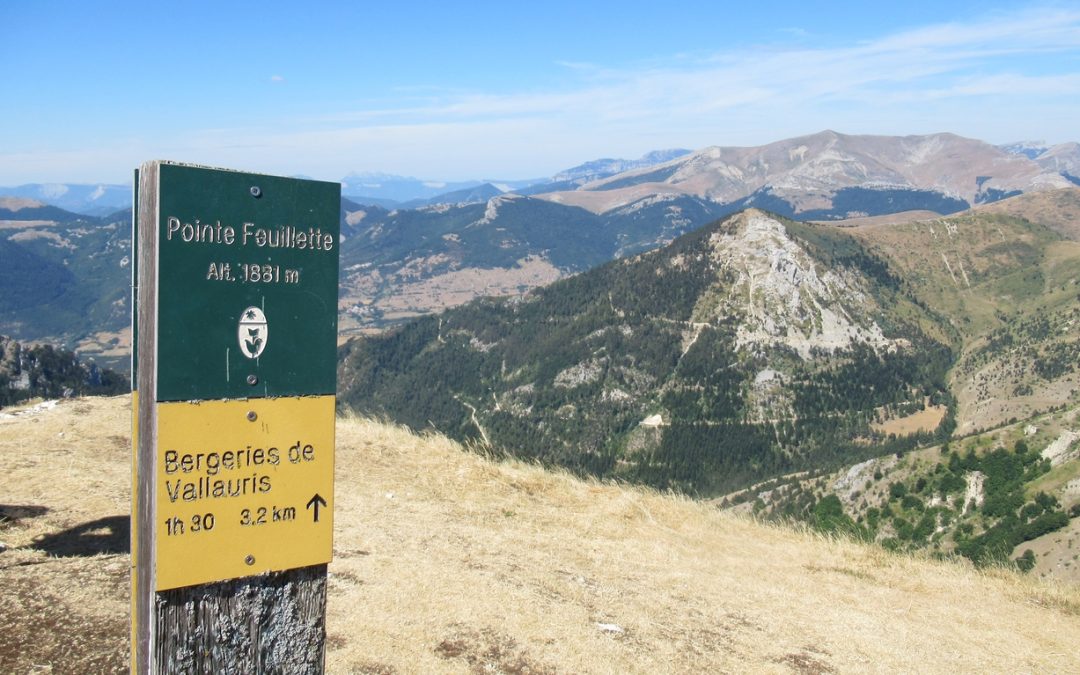 Rando du 28 juillet 2022 – Pointe Feuillette – Col Navite