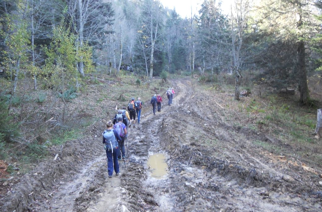 Rando du 27 octobre 2022 – Col de la Ruchère