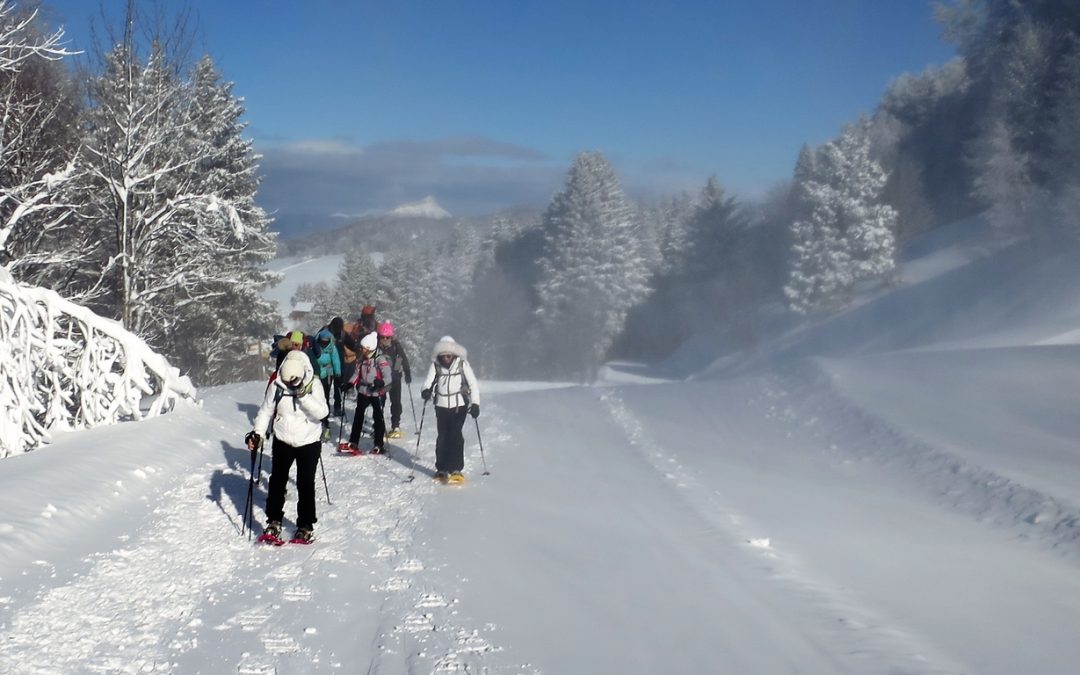Raquettes du 19 janvier 2023 – Alpe du Grand Serre