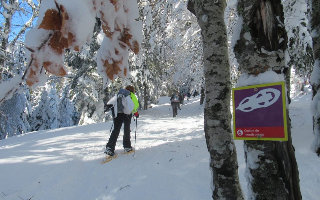 Raquettes du 11 janvier 2024 – Montfromage