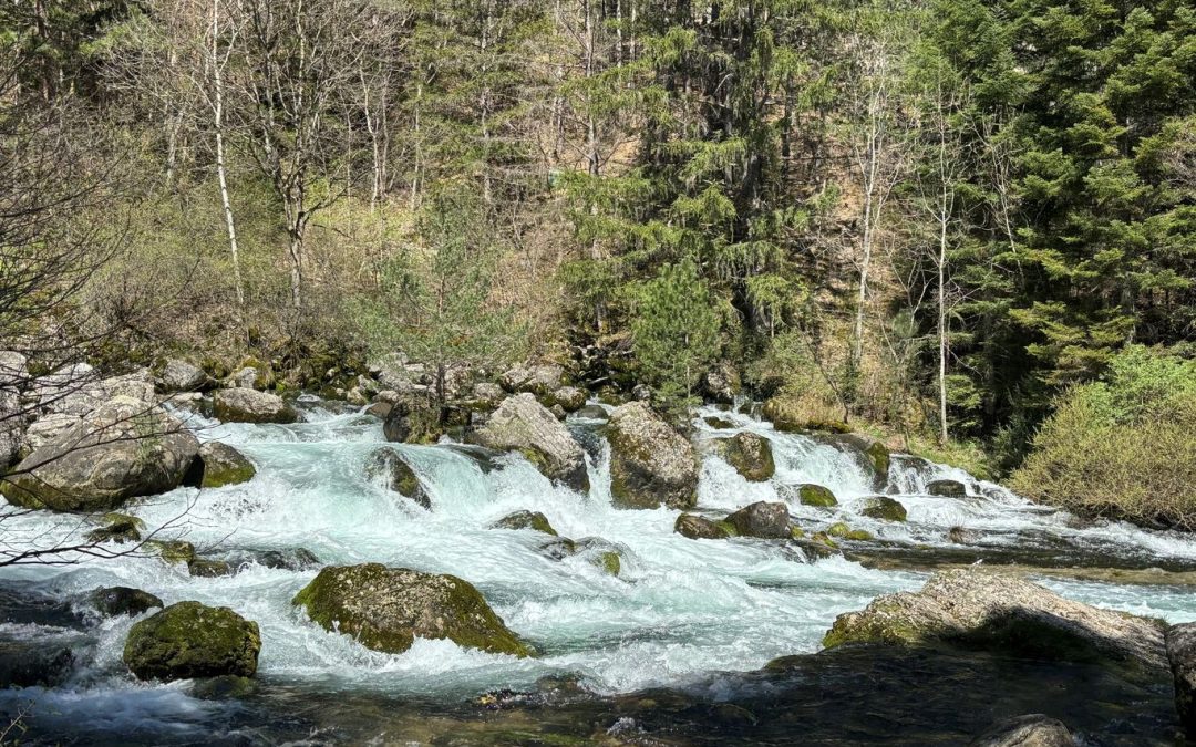 Rando du 11 avril 2024 – Les résurgences des Gillardes