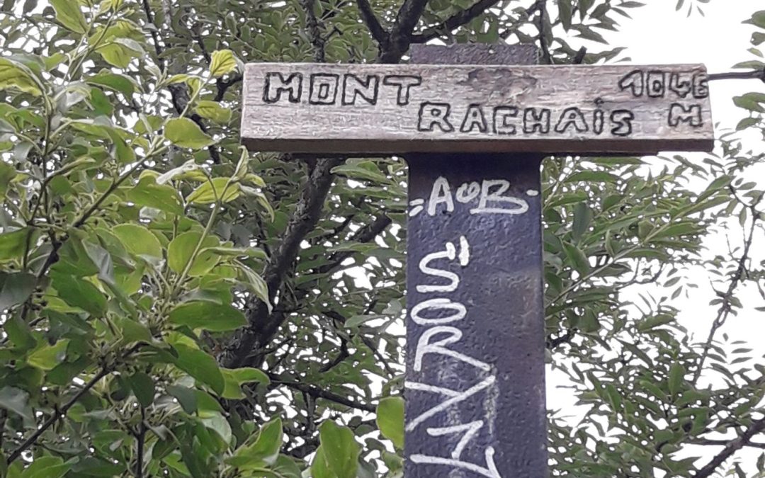 P’tite Rando du 11 juin 2024 – Tour du Mont Rachais