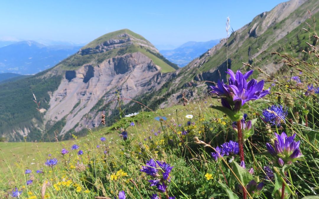 Rando du 18 juillet 2024 – Rochassac – Aiguille