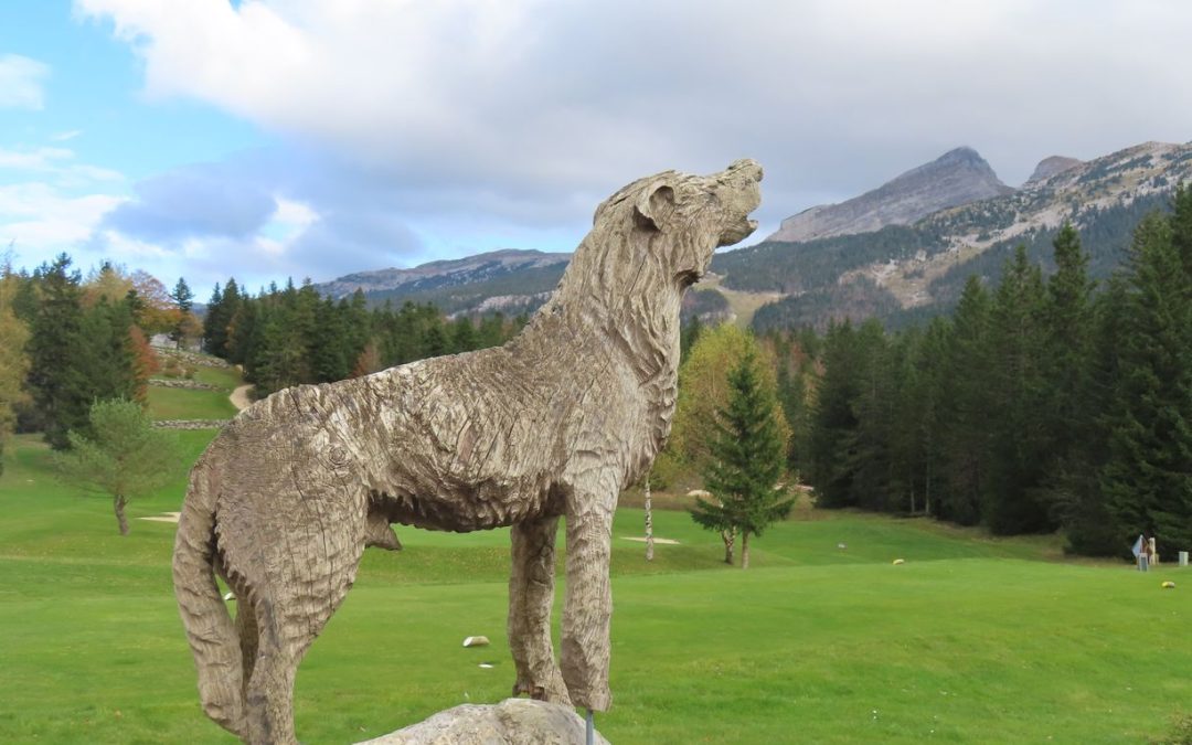 Rando du 24 octobre 2024 – La Sambue et la cabane de Carette