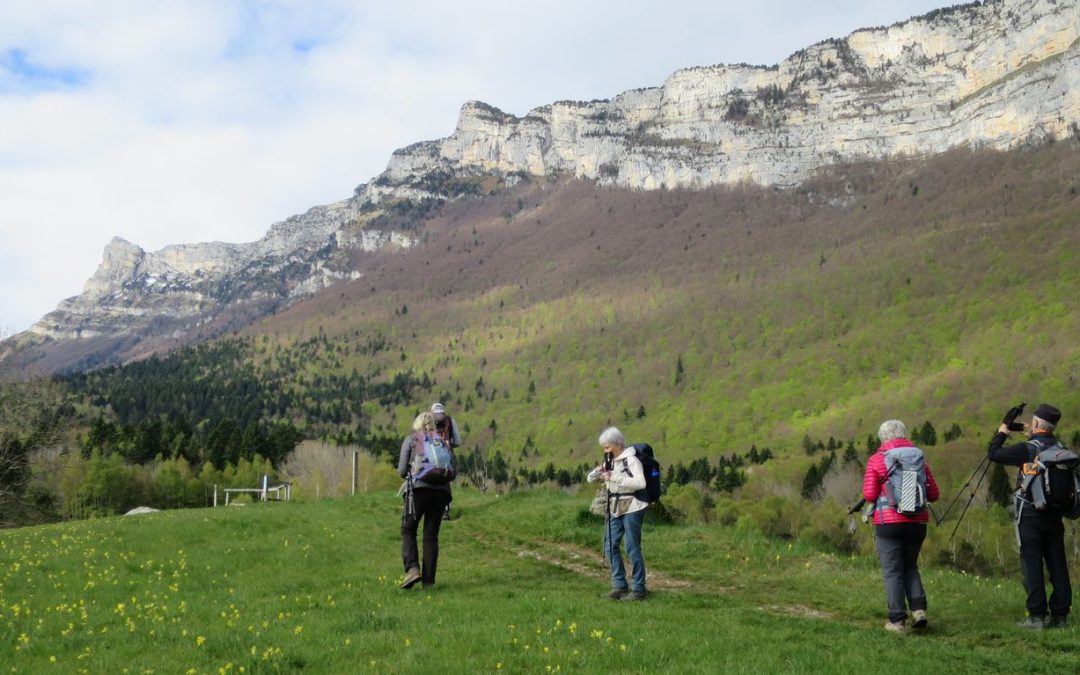Rando  du 24 avril 2025 – Plateau du Peuil