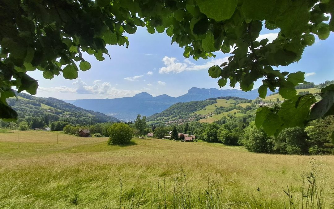 P’tite rando du 3 juin 2025 – Les Adrets