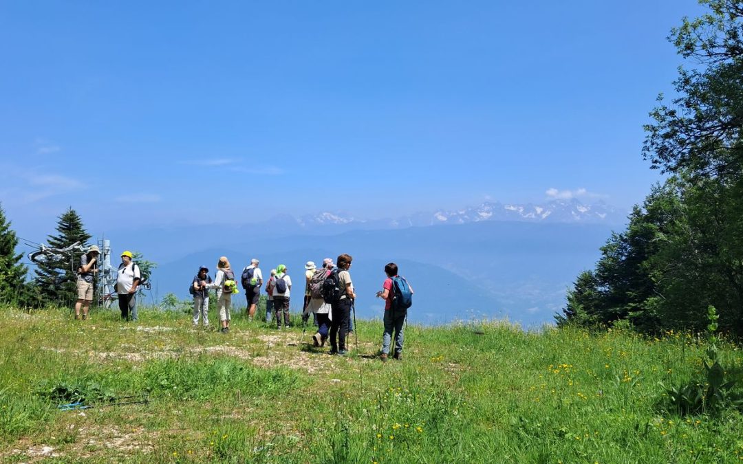 P’tite rando du 10 juin 2025 – Source du sanglier