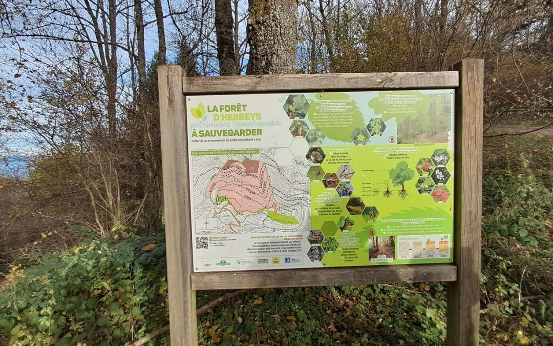 P’tite rando du 11 novembre 2025 – Herbeys 4 Seigneurs